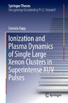 Ionization and Plasma Dynamics of Single Large Xenon Clusters in Superintense XUV Pulses