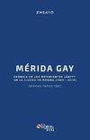 Merida Gay. Cronica de los movimientos LGBTTT en la ciudad de Merida (1960-2014)