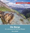 Die Berge