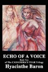 Echo of a Voice