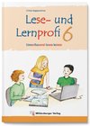 Lese- und Lernprofi 6 - Schülerarbeitsheft - silbierte Ausgabe