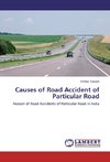 Causes of Road Accident of Particular Road