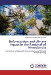Deforestation and climate impact in the Pantanal of Nhecolândia