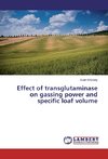 Effect of transglutaminase on gassing power and specific loaf volume