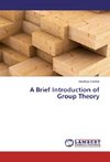A Brief Introduction of Group Theory