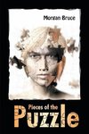 Pieces of the Puzzle