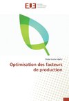 Optimisation des facteurs de production
