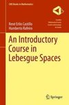 Castillo, R: Introductory Course in Lebesgue Spaces