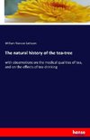 The natural history of the tea-tree