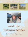 Small Feet Extensive Strides