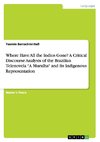 Where Have All the Indios Gone? A Critical Discourse Analysis of the Brazilian Telenovela 