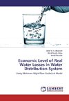 Economic Level of Real Water Losses in Water Distribution System