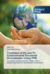 Treatment of Pb and Ph Contaminated Simulated Groundwater Using PRB