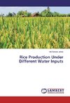 Rice Production Under Different Water Inputs