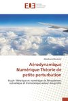 Aérodynamique Numérique-Théorie de petite perturbation