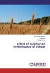 Effect of Sulphur on Performance of Wheat