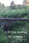 A 30 Day Journey to Stillness