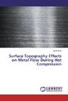 Surface Topography Effects on Metal Flow During Hot Compression