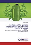 Studies on the genetic improvement of Jatropha curcas in Egypt