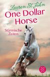 One Dollar Horse, Band 3 - Stürmische Zeiten