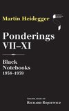 Ponderings VII-XI