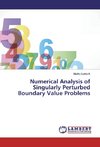 Numerical Analysis of Singularly Perturbed Boundary Value Problems