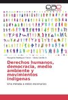 Derechos humanos, democracia, medio ambiente y movimientos indígenas