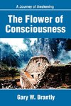 The Flower of Consciousness