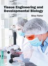 Tissue Engineering and Developmental Biology