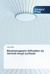 Electromagnetic diffraction by random rough surfaces