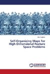 Self-Organizing Maps for High Dimensional Feature Space Problems