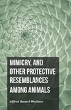 Wallace, A: Mimicry, and Other Protective Resemblances Among
