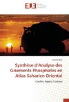 Synthèse d'Analyse des Gisements Phosphates en Atlas Saharien Oriental