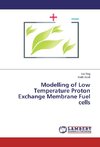Modelling of Low Temperature Proton Exchange Membrane Fuel cells