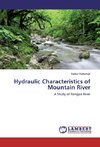 Hydraulic Characteristics of Mountain River