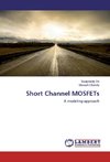 Short Channel MOSFETs