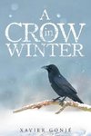 A Crow in Winter