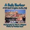 A Safe Harbor, A Kid's Guide To Cagliari, Sardinia, Italy