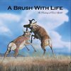 A Brush With Life