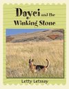 Dayci and the Winking Stone
