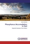 Phosphorus Accumulation in Soil