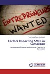 Factors Impacting SMEs in Cameroon