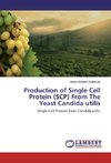 Production of Single Cell Protein (SCP) From The Yeast Candida utilis