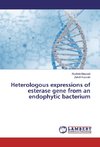 Heterologous expressions of esterase gene from an endophytic bacterium