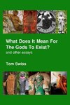 What Does It Mean For The Gods To Exist?