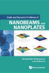STATIC AND DYNAMIC PROBLEMS OF NANOBEAMS AND NANOPLATES