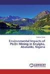 Environmental Impacts of Pb/Zn Mining in Enyigba, Abakaliki, Nigeria