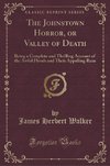 Walker, J: Johnstown Horror, or Valley of Death