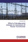 Effect of Accelearated stresses on Insulation of Power Transformer