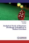 Analytical Study of Bayesian Shrinkage and Robust in Weibull Distribut
